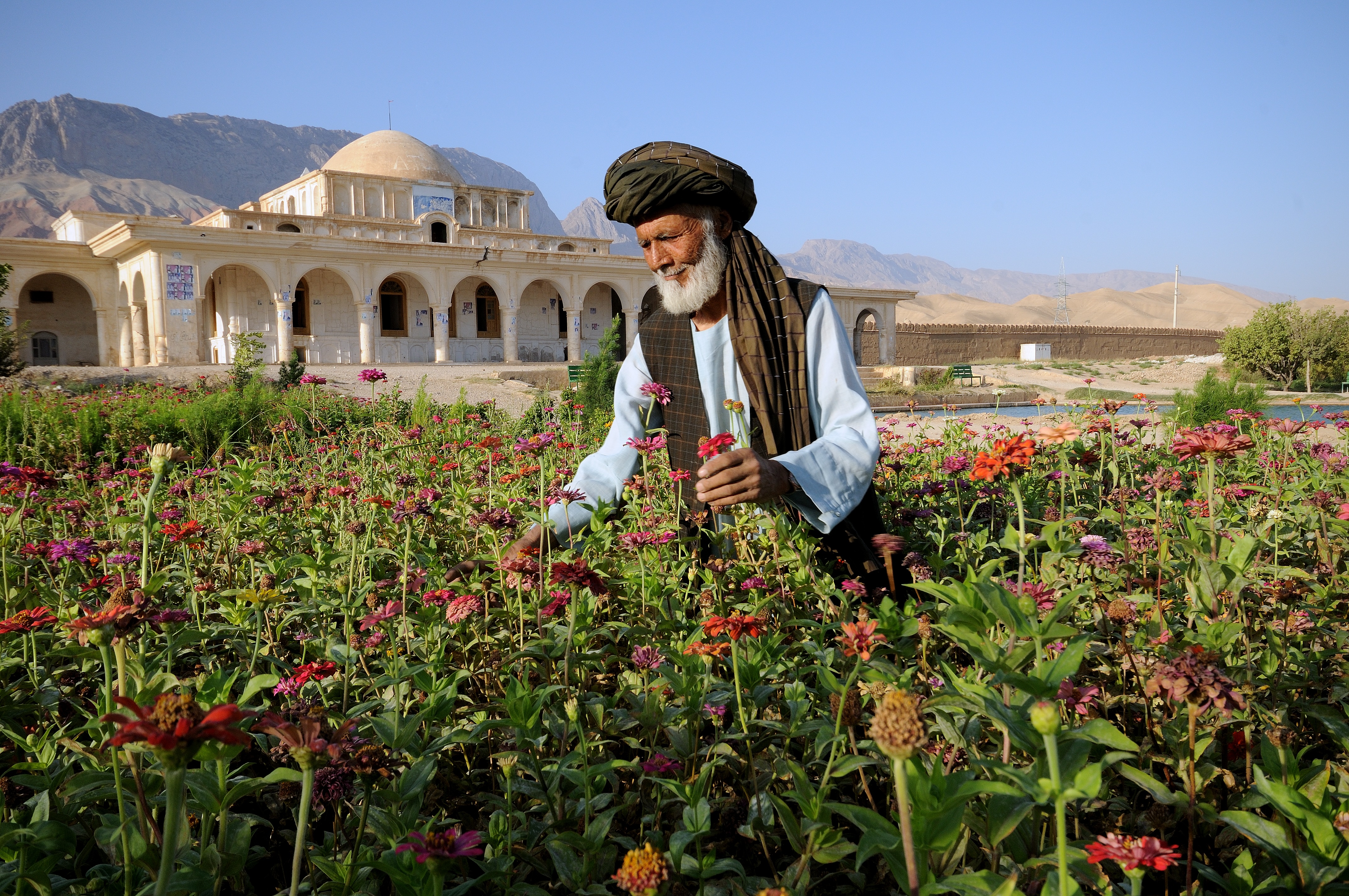 A gardener among flowers at Bagh-e Jehan Nama Palace in Kholm, Afghanistan