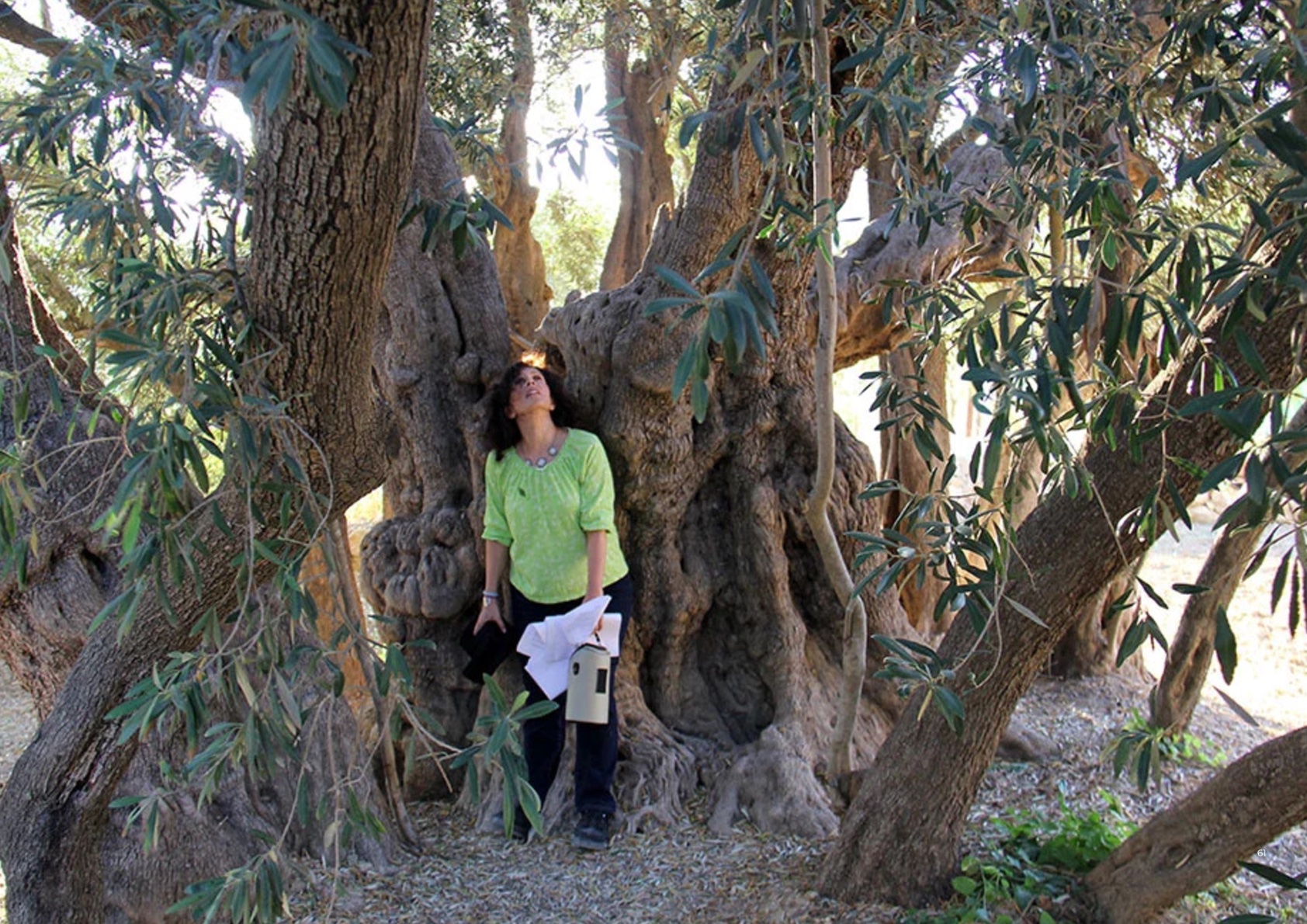 People beneath a tree that carries generations of memory